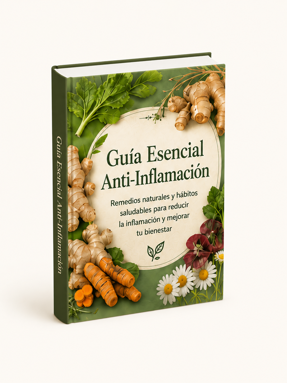 Guía Esencial Anti-Inflamación