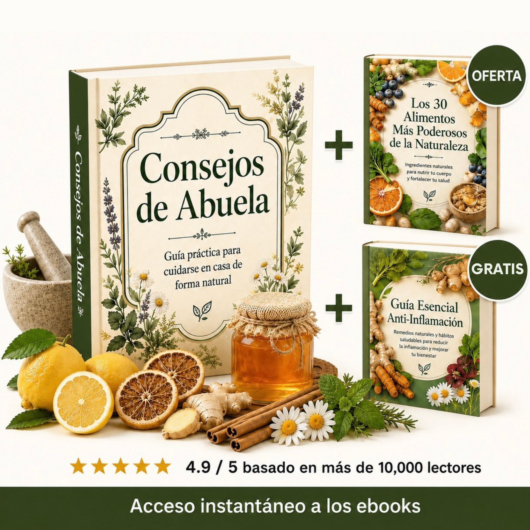 Libro Remedios Naturales Para el Día a Día